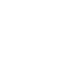 X Twitter
